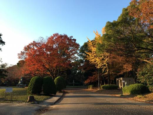 気分転換に最適！名古屋市内のぶらりお散歩スポット ～名城公園～