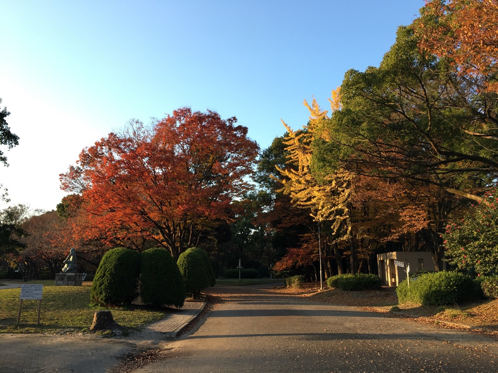 気分転換に最適！名古屋市内のぶらりお散歩スポット ～名城公園～